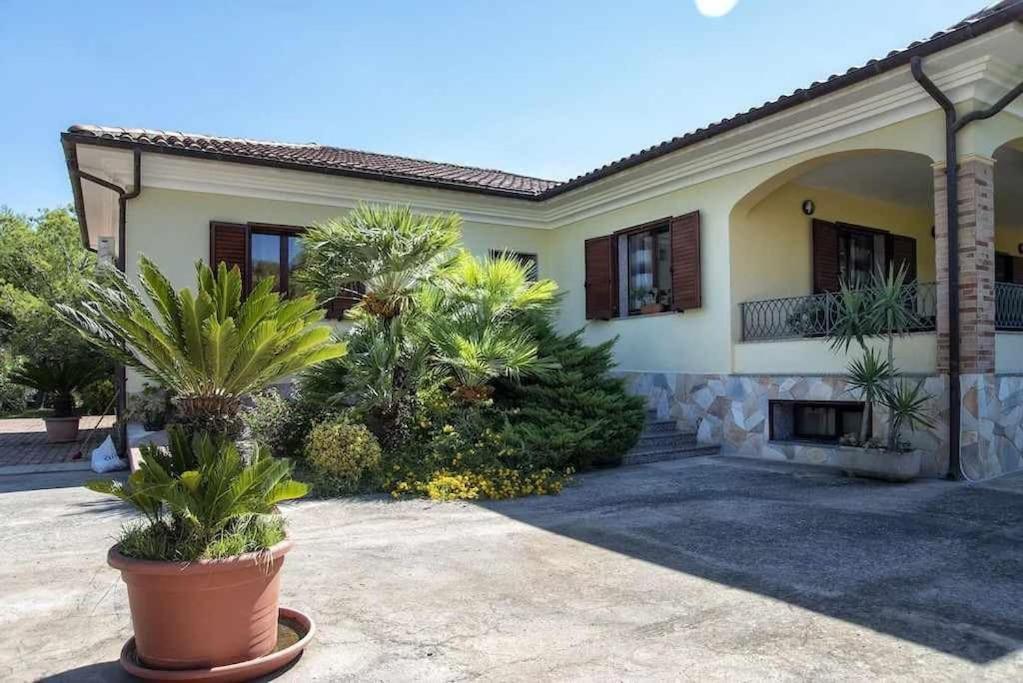 Alghero Villa Mistral per 7 persone Terrazza BBQ AC WiFi Esterno foto